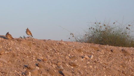 Screen Shot 2013-12-11 at 7.02.56 PM