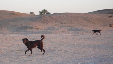 Screen Shot 2013-12-11 at 7.05.10 PM