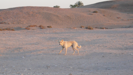 Screen Shot 2013-12-11 at 7.05.49 PM