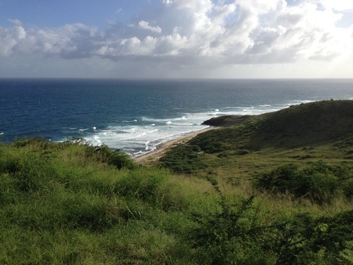 2013-12-10 15.42.21.jpg