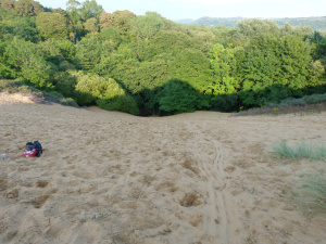 Merthyr Mawr sand dunes