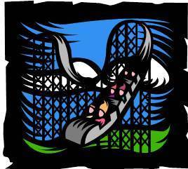 Riding the Learning Curve: before you can learn, you have to try.