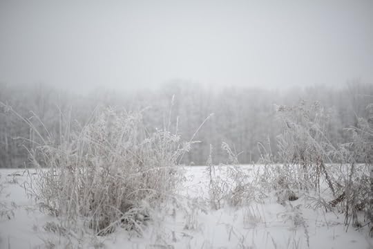 DSC_7403