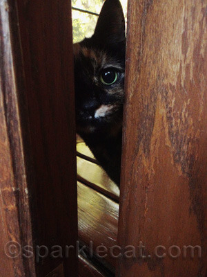 Binga could not believe her eye either!