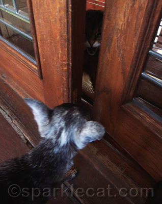 Take me to your leader, my tail - prepare to meet your maker!
