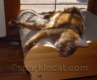 How does Binga make it look so effortless?