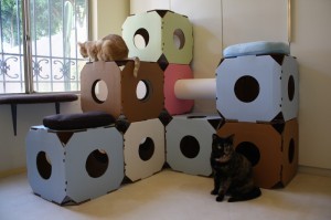 Cattystacks