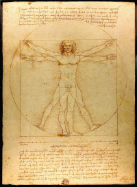vitruvian_man_leonardo_da_vinci