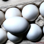 renal failure