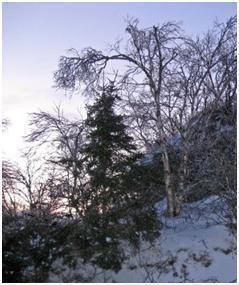 Click to visit the original post