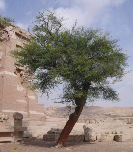 Screen Shot 2013-12-12 at 8.46.48 PM