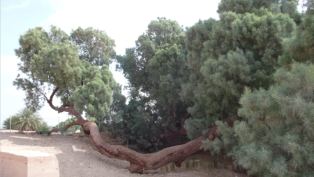 Screen Shot 2013-12-12 at 8.47.03 PM