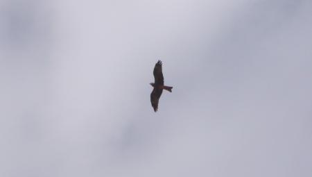 Screen Shot 2013-12-12 at 8.26.33 PM