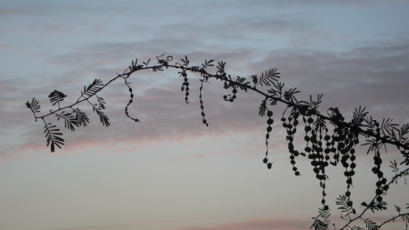 Screen Shot 2013-12-12 at 8.15.09 AM