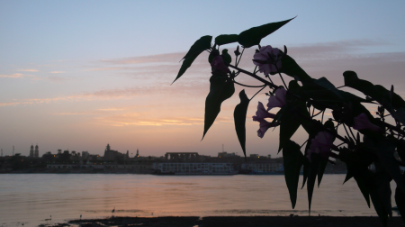 Screen Shot 2013-12-12 at 8.16.56 AM