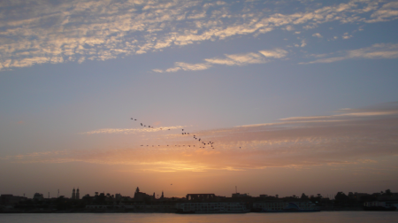 Screen Shot 2013-12-12 at 8.20.33 AM