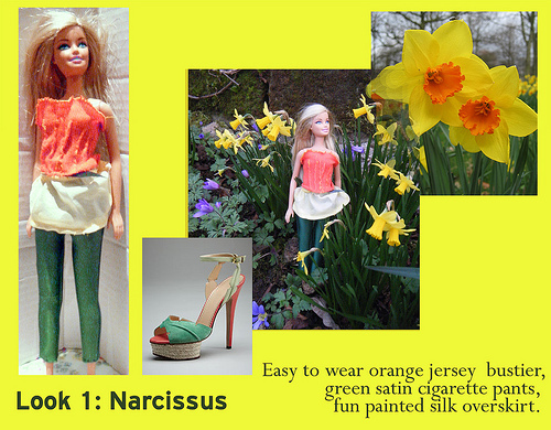 narcissus