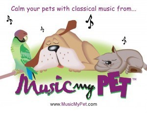 relaxing music for pets