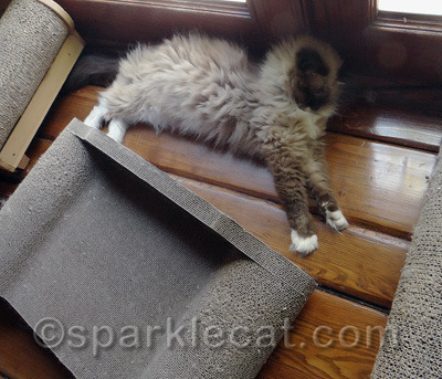 There is nothing like sleeping on the hard floor, right?