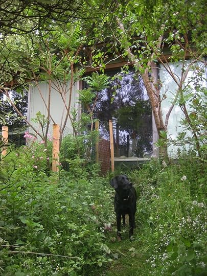 Pathway to the studio