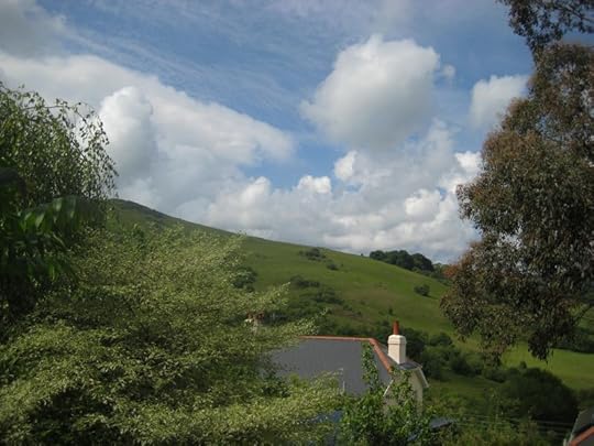 View from the studio