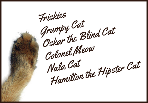 You all rule - thanks for helping kitties in need!