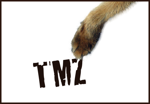 TMZ sucks, pure and simple
