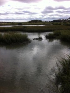 near the village of Seloy