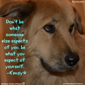 be DSC0303 290x290 Woofisms: Woofs of Wisdom© funny dog blog