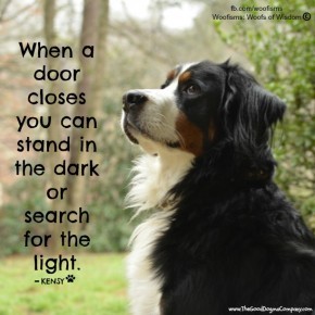 door DSC0280 290x290 Woofisms: Woofs of Wisdom© funny dog blog