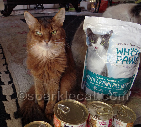 I'm not even sure that some of what my human eats even qualifies as food