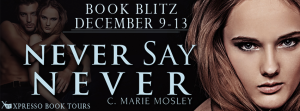 NeverSayNeverBlitzBanner1