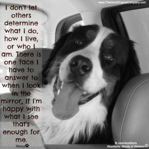 BuddyTimeFILE0020 290x290 Woofisms: Woofs of Wisdom© funny dog blog