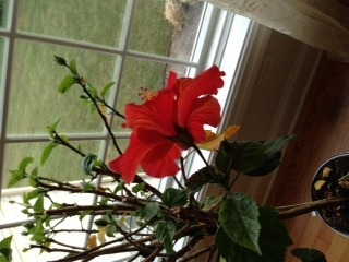 photo-12