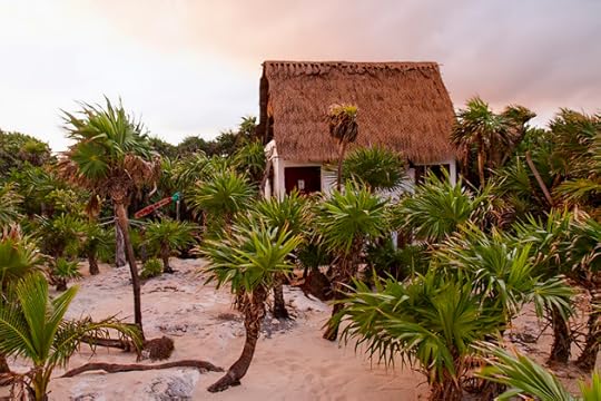 El Cedral and Cozumel’s Atlantic Coast