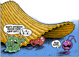 five-second-rule