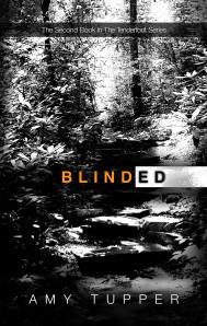 Blinded Cover