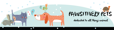 PawsitivelyPetsFINAL