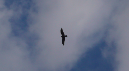 Screen Shot 2013-12-14 at 7.09.03 PM