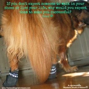 bo02 08 08 0020 290x290 Woofisms: Woofs of Wisdom© funny dog blog