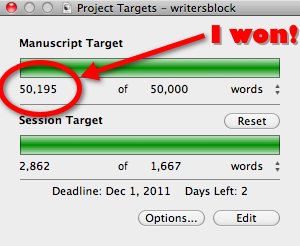 NaNoWriMo Word Count
