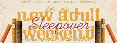 166a9-naswbloggerheader