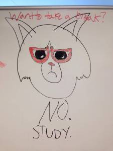 grumpycat