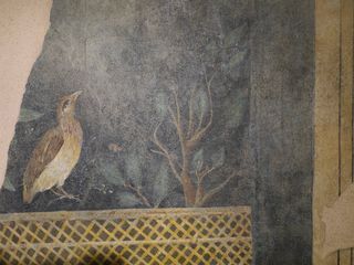 Formia museum