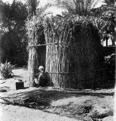 This image, from the Oriental Institute, University of Chicago, is of a reed and mud hut, perhaps the type that would have been built around and Iset of a Deity in an early Egyptian period.