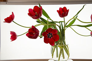 _HLD4451 setup shot
