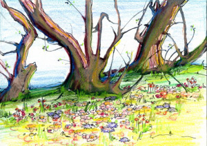 Margaret Peot's illustration from Chapter 2.