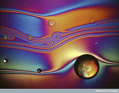 B0007242 Liquid crystal