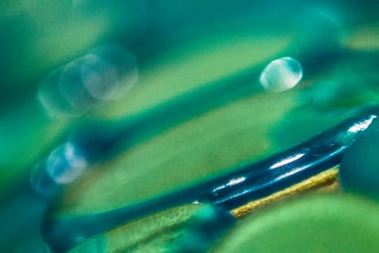 The Minimalist Photographer: Blue Bath Mat &emdash;