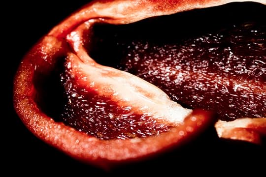 The Minimalist Photographer:; Pepper